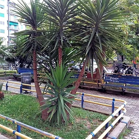 Cicicoco 4* Nápoles