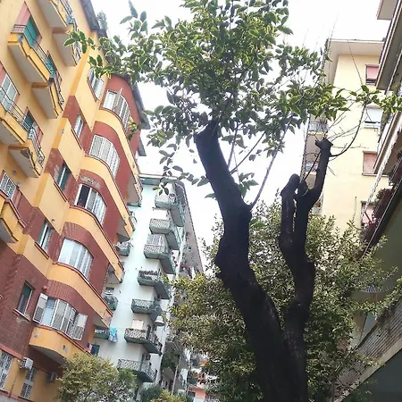 Cicicoco فندق مبيت وإفطار